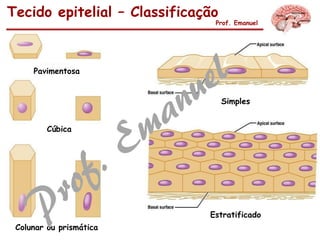 Tecido epitelial – Classificação
Prof. Emanuel
Pavimentosa
Cúbica
Colunar ou prismática
Simples
Estratificado
 