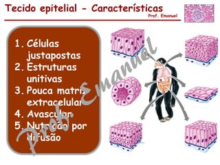 Tecido epitelial - Características
Prof. Emanuel
1. Células
justapostas
2. Estruturas
unitivas
3. Pouca matriz
extracelular
4. Avascular
5. Nutrição por
difusão
 