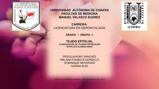 UNIVERSIDAD AUTÓNOMA DE CHIAPAS
FACULTAD DE MEDICINA
MANUEL VELASCO SUÁREZ
CARRERA:
LICENCIATURA EN GERONTOLOGÍA
GRADO: 1 GRUPO: A
TEJIDO EPITELIAL
CLASIFICACIÓN DE TEJIDOS EPITELIALES
EPITELIOS GLANDULARES
PRSCILIA RUBY SANCHÉZ
HIELANA FONSECA GORDILLO
DOMINIQUE NEFERTARI
KARINA RUIZ
TUXTLA GUTÍERREZ CHIAPAS, A 26 DE MARZO DEL 2017
 