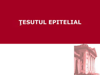 ŢESUTUL EPITELIAL 