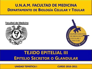 TEJIDO EPITELIAL IIIEPITELIOSECRETOROGLANDULAR 
U.N.A.M. FACULTAD DE MEDICINA 
DEPARTAMENTODEBIOLOGÍACELULARYTISULAR 
UNIDAD TEMÁTICA I CURSO 2010-2011  