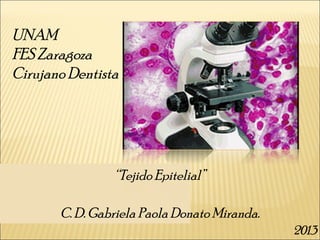 UNAM
FES Zaragoza
Cirujano Dentista

“Tejido Epitelial”
C. D. Gabriela Paola Donato Miranda.
2013

 