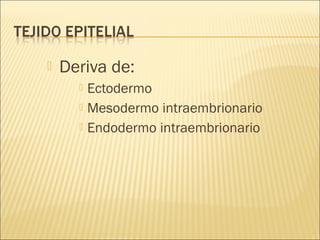 

Deriva de:




Ectodermo
Mesodermo intraembrionario
Endodermo intraembrionario

 