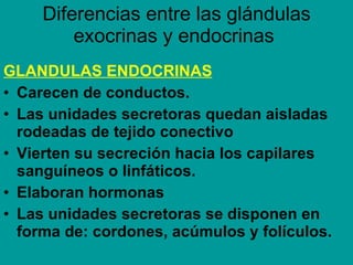 Diferencias entre las glándulas exocrinas y endocrinas  GLANDULAS ENDOCRINAS Carecen de conductos. Las unidades secretoras quedan aisladas rodeadas de tejido conectivo Vierten su secreción  hacia los capilares sanguíneos o linfáticos. Elaboran hormonas Las unidades secretoras se disponen en   forma de: cordones, acúmulos y folículos.  