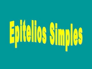 Epitelios Simples 