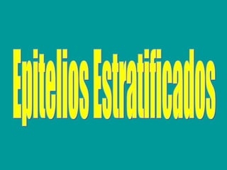 Epitelios Estratificados  