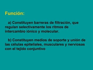 Función:   a) Constituyen barreras de filtración, que regulan selectivamente los ritmos de intercambio iónico y molecular....