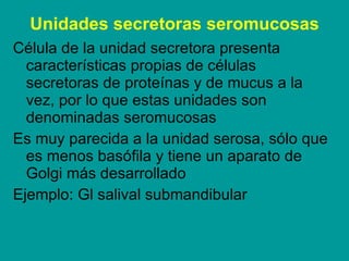 Unidades secretoras seromucosas <ul><li>Célula de la unidad secretora presenta características propias de células secretor...