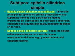 Subtipos: epitelio cilíndrico simple <ul><li>Epitelio simple cilíndrico no modificado :   la función principal del epiteli...
