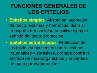 FUNCIONES GENERALES DE LOS EPITELIOS <ul><li>Epitelios simples : Absorción; secreción de moco, enzimas y hormonas; diálisi...