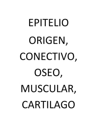 EPITELIO
ORIGEN,
CONECTIVO,
OSEO,
MUSCULAR,
CARTILAGO

 