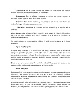 Osteogenicas: son las células madres que derivan del mesénquima, son las que
realizan la división celular y se encuentran en el endostio.
Osteoblastos: Son las células inmaduras formadoras de hueso, secretan y
sintetizan fibras colágenas se inician en la calcificación
Osteocitos: Son células maduras y las principales del hueso y mantienen su
metabolismo por el intercambio de nutrientes.
Osteoclastos: Derivan de la fusión de muchos monocitos y se agrupan en el
endostio
CALCIFICACION: Es el deposito de sales minerales como fosfato de calcio e hidróxido de
calcio en las fibras colágenas de la matriz osteoide, estas se cristalizan originando el
endurecimiento del tejido.
Se pueden encontrar varios tipos de tejidos, El tejido Óseo Compacto y el Hueso
Esponjoso.
Tejido Óseo Compacto:
Contiene poco espacio y es el componente mas solido del tejido óseo, se encuentra
debajo del periostio, proporciona protección y soporte. Los componentes del hueso
compacto se organiza en unidades denominadas osteonas o sistemas haversianos, esta
consiste en un conducto central con sus laminillas, lagunas, osteocitos y canalículos, se
alinean en una misma dirección
Entre las osteonas encontramos las laminillas intersticiales, estas son porciones de
osteonas viejas que fueron destruidas durante la reconstrucción.
Hueso Esponjoso:
Este no contiene osteonas, su nombre no se refiere a su estructura sino a su aspecto, esta
compuesto por láminas dispuestas en una red irregular de columnas delgadas
denominadas trabéculas, dentro de estas hay lagunas que contienen osteocitos que se
encuentran en la superficie.
Constituye la mayor parte del tejido de huesos cortos, planes e irregulares. Las trabéculas
están orientadas a lo largo de la línea de tensión, que permite recibir tensión sin
romperse, es un tejido liviano y las trabéculas dan soporte y protección a la medula ósea

 