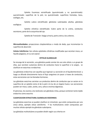 Epitelio Escamoso estratificado (queratinizado y no queratinizado):
queratinizado: superficie de la piel, no queratinizado: superficies húmedas, boca,
esófagos, etc.
Epitelio cubico estratificado: glándulas sudoripadas adultas, glándulas
esofágicas
Epitelio cilíndrico estratificado: Cubre parte de la uretra, conductos
excretores, parte de la conjuntiva del ojo.
Epitelio de Transición: Vejiga urinaria, parte uretra y los uréteres.

Microvellosidades: proyecciones citoplasmáticas a modo de dedo, que incrementan la
superficie de absorción
Celulas Caliciforme: Son células epiteliales cilíndricas modificadas que secretan moco, un
liquido pegajoso, en su cara apical.
EPITELIO GLANDULAR
Se encarga de la secreción, una glándula puede constar de una sola célula o un grupo de
ellas, que secretan sustancias dentro de conductos hacia la superficie o la sangre, se
clasifican en exocrinas e endocrinas
Las glándulas endocrinas son aquellas que ingresan su secreción en el liquidointersticial y
luego se difunde directamente hacia el flujo sanguíneo sin pasar a traves de conductos,
estas secreciones son las llamadas hormonas.
Las glándulas exocrinas secretan sus productos dentro de conductos que se vacian en la
superficie de un epitelio como el de la piel o la luz de un órgano hueco. Las secreciones
pueden ser moco, sudor, aceite, cera, saliva o enzimas digestivas.
El páncreas, los ovarios y los testículos son glándulas mitas, porque contienen tanto tejido
endocrino como exocrino
CLASIFICACION ESTRUCTURAL GLANDULAS EXOCRINAS:
Las glándulas exocrinas se pueden clasificar en Unicelular, que están compuestas por una
única célula, ejemplo célula caliciforme. Y las multicelulares están compuestas por
muchas células ejemplo las glándulas sudoríparas.
Las glándulas multicelulares se pueden dividir según sus criterios en

 