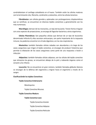 condroblastoen el cartílago osteoblasto en el hueso. También están las células maduras
con la terminación cito, fibrocito, condrocito y osteocitos, entre las células tenemos:
Fibroblastos: son células grandes y aplanadas con prolongaciones citoplasmáticas
que se ramifican, se encuentran en diversos tejidos conectivos y generalmente son los
más numerosos.
Macrófagos: derivan de los monocitos, un tipo de leucocito. Tienen forma irregular
con unas especies de proyecciones, se encarga de fagocitar bacterias y otros organismos.
Células Plasmáticas: Son pequeñas células que derivan de un tipo de leucocitos
denominado linfocito B, ellas secretan anticuerpos, son parte importante de la respuesta
inmune, las podemos encontrar en el tubo digestivo y en las vías respiratorias.
Mastocitos: también llamadas células cebadas son abundantes a lo largo de los
vasos sanguíneos que irrigan el tejido conectivo, se encargan de producir histamina que
permite la dilatación de los vasos sanguíneos como parte de una respuesta a lesión o
infección
Adipocitos: también llamadas células adiposas, son las células del tejido conectivo
que almacena las grasas, se encuentran debajo de la piel y rodeando órganos como el
corazón y los riñones
Leucocito: No se encuentran en gran número, también llamadas glóbulos blancos
se encargan de la defensa del organismo y migran hacia el organismo a través de la
sangre.
Clasificaciónde los tejidos Conectivos:
Tejido Conectivo Embrionario
Mesénquima
Tejido Conectivo Mucoso
Tejido Conectivo Maduro
Tejido Conectivo Laxo
Tejido Conectivo Areolar
Tejido Conectivo Adiposo
Tejido Conectivo Reticular

 