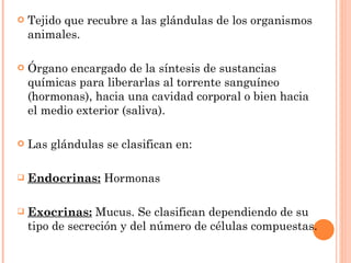 Tejido que recubre a las glándulas de los organismos animales. Órgano encargado de la síntesis de sustancias químicas para liberarlas al torrente sanguíneo (hormonas), hacia una cavidad corporal o bien hacia el medio exterior (saliva). Las glándulas se clasifican en: Endocrinas:  Hormonas Exocrinas:  Mucus. Se clasifican dependiendo de su tipo de secreción y del número de células compuestas. 