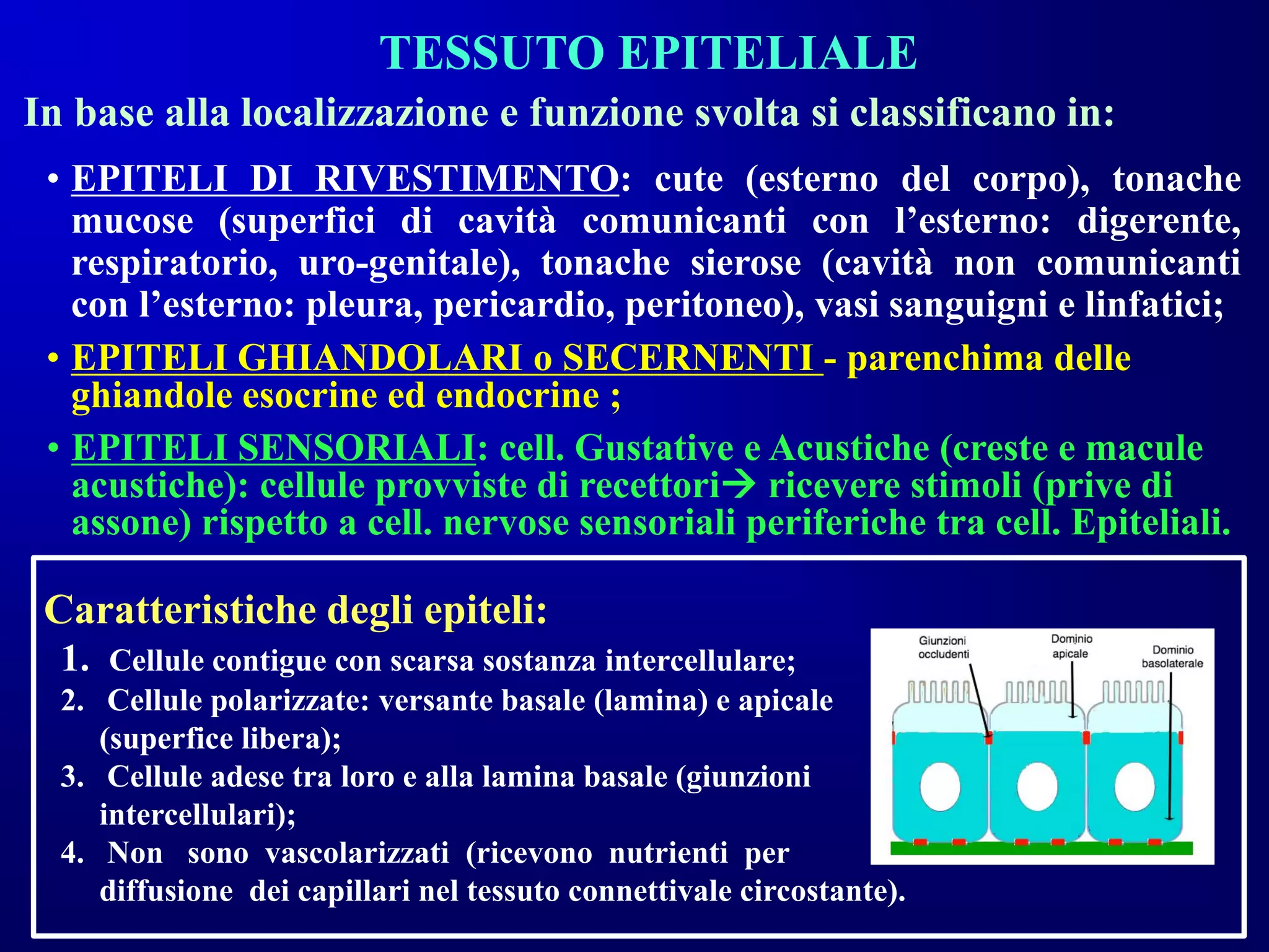 Epitelio PDF Epitelio PDF