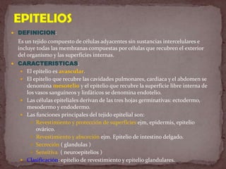 EPITELIOSDEFINICION:     Es un tejido compuesto de células adyacentes sin sustancias intercelulares e incluye todas las membranas compuestas por células que recubren el exterior del organismo y las superficies internas.CARACTERISTICAS:El epitelio es avascular.El epitelio que recubre las cavidades pulmonares, cardiaca y el abdomen se denomina mesotelio y el epitelio que recubre la superficie libre interna de los vasos sanguíneos y linfáticos se denomina endotelio.Las células epiteliales derivan de las tres hojas germinativas: ectodermo, mesodermo y endodermo.Las funciones principales del tejido epitelial son:Revestimiento y protección de superficies ejm, epidermis, epitelio ovárico.Revestimiento y absorción ejm.Epitelio de intestino delgado.Secreción ( glandulas )Sensitiva  ( neuroepitelios )Clasificación: epitelio de revestimiento y epitelio glandulares.
