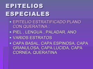 EPITELIOS ESPECIALES EPITELIO ESTRATIFICADO PLANO CON QUERATINA  : PIEL , LENGUA , PALADAR, ANO  VARIOS ESTRATOS  CAPA BASAL, CAPA ESPINOSA, CAPA GRANULOSA, CAPA LUCIDA, CAPA CORNEA, QUERATINA 