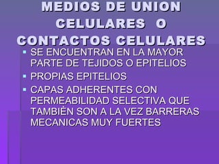 MEDIOS DE UNION CELULARES  O CONTACTOS CELULARES SE ENCUENTRAN EN LA MAYOR PARTE DE TEJIDOS O EPITELIOS  PROPIAS EPITELIOS  CAPAS ADHERENTES CON PERMEABILIDAD SELECTIVA QUE TAMBIÈN SON A LA VEZ BARRERAS MECANICAS MUY FUERTES 