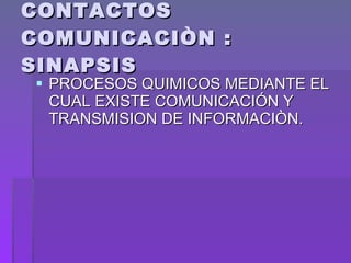 CONTACTOS COMUNICACIÒN : SINAPSIS PROCESOS QUIMICOS MEDIANTE EL CUAL EXISTE COMUNICACIÓN Y TRANSMISION DE INFORMACIÒN. 