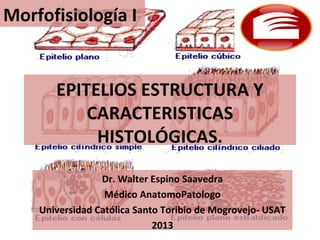 Morfofisiología I


       EPITELIOS ESTRUCTURA Y
           CARACTERISTICAS
            HISTOLÓGICAS.

                 Dr. Walter Espino Saavedra
                  Médico AnatomoPatologo
    Universidad Católica Santo Toribio de Mogrovejo- USAT
                             2013
 