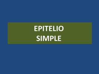 Peritoneo(Mesotelio):Epitelio simple plano
 