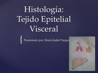 {
Histología:
Tejido Epitelial
Visceral
Presentado por: María Isabel Vargas
 