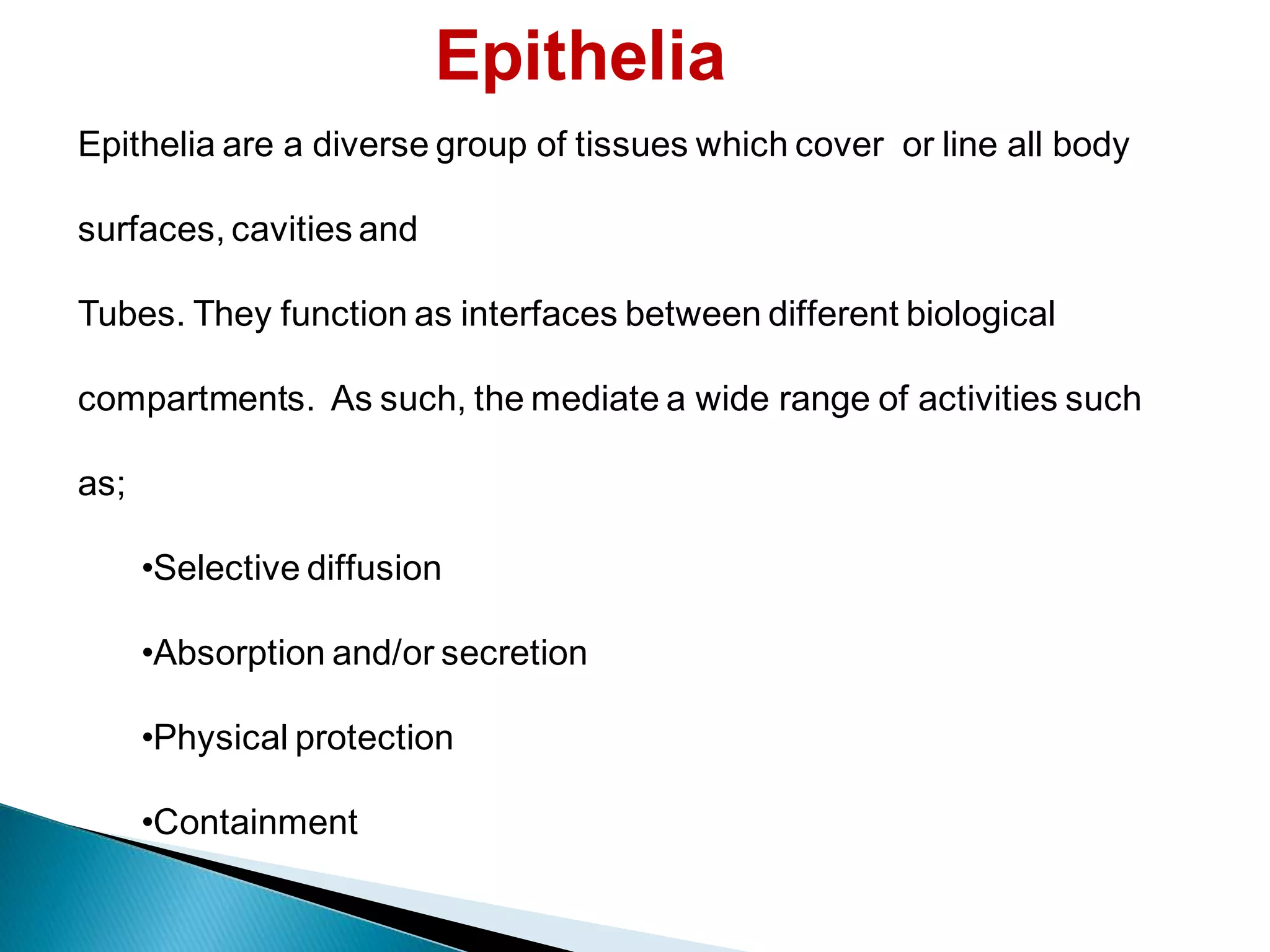 HISTOLOGY: EPITHELIA AND GLANDS CONNECTIVE TISSUE PROPER CARTILAGE AND ...