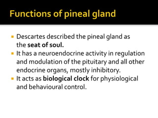  Descartes described the pineal gland as
the seat of soul.
 It has a neuroendocrine activity in regulation
and modulation of the pituitary and all other
endocrine organs, mostly inhibitory.
 It acts as biological clock for physiological
and behavioural control.
 