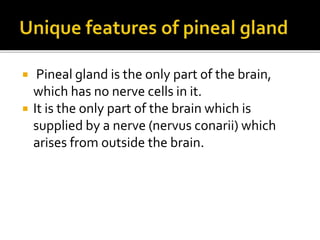  Pineal gland is the only part of the brain,
which has no nerve cells in it.
 It is the only part of the brain which is
supplied by a nerve (nervus conarii) which
arises from outside the brain.
 