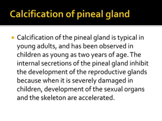  Calcification of the pineal gland is typical in
young adults, and has been observed in
children as young as two years of age.The
internal secretions of the pineal gland inhibit
the development of the reproductive glands
because when it is severely damaged in
children, development of the sexual organs
and the skeleton are accelerated.
 