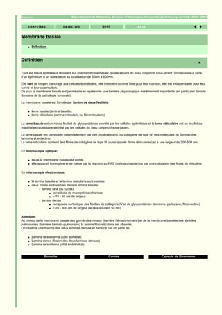 Département de Médecine, Division d'Histologie; Université de Fribourg; ©              2005-2006




Membrane basale
     q   Définition



Définition

Tous les tissus épithéliaux reposent sur une membrane basale qui les sépare du tissu conjonctif sous-jacent. Son épaisseur varie
d'un épithélium à un autre selon sa localisation de 50nm à 800nm.

Elle sert de moyen d'ancrage aux cellules épithéliales; elle intervient comme filtre pour leur nutrition, elle est indispensable pour leur
survie et leur cicatrisation.
De plus la membrane basale est perméable et représente une barrière physiologique extrêmement importante (en particulier dans le
domaine de la pathologie tumorale).

La membrane basale est formée par l'union de deux feuillets:

     q   lame basale (lamina basalis)
     q   lame réticulaire (lamina reticularis ou fibroreticularis)

La lame basale est un mince feuillet de glycoprotéines sécrété par les cellules épithéliales et la lame réticulaire est un feuillet de
matériel extracellulaire sécrété par les cellules du tissu conjonctif sous-jacent.

La lame basale est composée essentiellement par des protéoglycans, du collagène de type IV, des molécules de fibronectine,
laminine et entactine.
La lame réticulaire contient des fibres de collagène de type III (aussi appelé fibres réticulaires) et a une largeur de 200-500 nm.

En microscopie optique:

     q   seule la membrane basale est visible.
     q   elle apparaît homogène et se colore par la réaction au PAS (polysaccharide) ou par une coloration des fibres de réticuline.

En microscopie électronique:

     q   la lamina basalis et la lamina reticularis sont visibles
     q   deux zones sont visibles dans la lamina basalis:
              r lamina rara (ou lucida)

                     s constituée de mucopolysaccharides

                     s ~ 10 - 50 nm de largeur

              r lamina densa

                     s composée surtout par des fibrilles de collagène IV et de glycoprotéines (laminine, perlecane, fibronectine)

                     s ~ 20 - 300 nm de largeur (le plus souvent 50 nm)




Attention:
Au niveau de la membrane basale des glomérules rénaux (barrière hémato-urinaire) et de la membrane basales des alvéoles
pulmonaires (barrière hémato-pulmonaire) la lamina fibroreticularis est absente.
On observe une fusions des deux laminae densae et dans ce cas on parle de:

     q   Lamina rara externa (côté épihélial)
     q   Lamina densa (fusion des deux laminae densae)
     q   Lamina rara interna (côté endothélial)


                  Bronche                                            Cornée                             Capsule de Bowmanm
 
