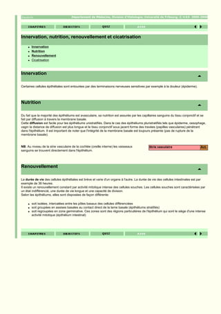 Département de Médecine, Division d'Histologie; Université de Fribourg; ©               2005-2006




Innervation, nutrition, renouvellement et cicatrisation
     q   Innervation
     q   Nutrition
     q   Renouvellement
     q   Cicatrisation



Innervation

Certaines cellules épithéliales sont entourées par des terminaisons nerveuses sensitives par exemple à la douleur (épiderme).




Nutrition

Du fait que la majorité des épithéliums est avasculaire, sa nutrition est assurée par les capillaires sanguins du tissu conjonctif et se
fait par diffusion à travers la membrane basale.
Cette diffusion est facile pour les épithéliums unistratifiés. Dans le cas des épithéliums pluristratifiés tels que épiderme, oesophage,
vagin la distance de diffusion est plus longue et le tissu conjonctif sous jacent forme des travées (papilles vasculaires) pénétrant
dans l'épithélium. Il est important de noter que l'intégrité de la membrane basale est toujours présente (pas de rupture de la
membrane basale).


NB: Au niveau de la strie vasculaire de la cochlée (oreille interne) les vaisseaux            Strie vasculaire                      Act.
sanguins se trouvent directement dans l'épithélium.




Renouvellement

La durée de vie des cellules épithéliales est brève et varie d'un organe à l'autre. La durée de vie des cellules intestinales est par
exemple de 36 heures.
Il existe un renouvellement constant par activité mitotique intense des cellules souches. Les cellules souches sont caractérisées par
un état indifférencié, une durée de vie longue et une capacité de division.
Selon les épithéliums, elles sont disposées de façon différente:

     q   soit isolées, intercalées entre les pôles basaux des cellules différenciées
     q   soit groupées en assises basales au contact direct de la lame basale (épithéliums stratifiés)
     q   soit regroupées en zone germinative. Ces zones sont des régions particulières de l'épithélium qui sont le siège d'une intense
         activité mitotique (épithélium intestinal)
 