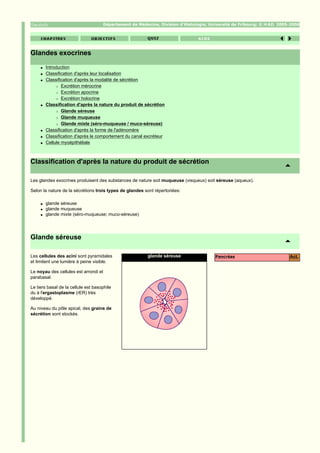Département de Médecine, Division d'Histologie; Université de Fribourg; ©   2005-2006




Glandes exocrines
     q   Introduction
     q   Classification d'après leur localisation
     q   Classification d'après la modalité de sécrétion
              r Excrétion mérocrine

              r Excrétion apocrine

              r Excrétion holocrine

     q   Classification d'après la nature du produit de sécrétion
              r Glande séreuse

              r Glande muqueuse

              r Glande mixte (séro-muqueuse / muco-séreuse)

     q   Classification d'après la forme de l'adénomère
     q   Classification d'après le comportement du canal excréteur
     q   Cellule myoépithéliale



Classification d'après la nature du produit de sécrétion

Les glandes exocrines produisent des substances de nature soit muqueuse (visqueux) soit séreuse (aqueux).

Selon la nature de la sécrétions trois types de glandes sont répertoriées:

     q   glande séreuse
     q   glande muqueuse
     q   glande mixte (séro-muqueuse; muco-séreuse)




Glande séreuse

Les cellules des acini sont pyramidales                  glande séreuse                 Pancréas                      Act.
et limitent une lumière à peine visible.

Le noyau des cellules est arrondi et
parabasal.

Le tiers basal de la cellule est basophile
du à l'ergastoplasme (rER) très
développé.

Au niveau du pôle apical, des grains de
sécrétion sont stockés.
 
