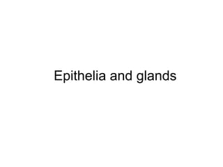 Epithelia and glands
 
