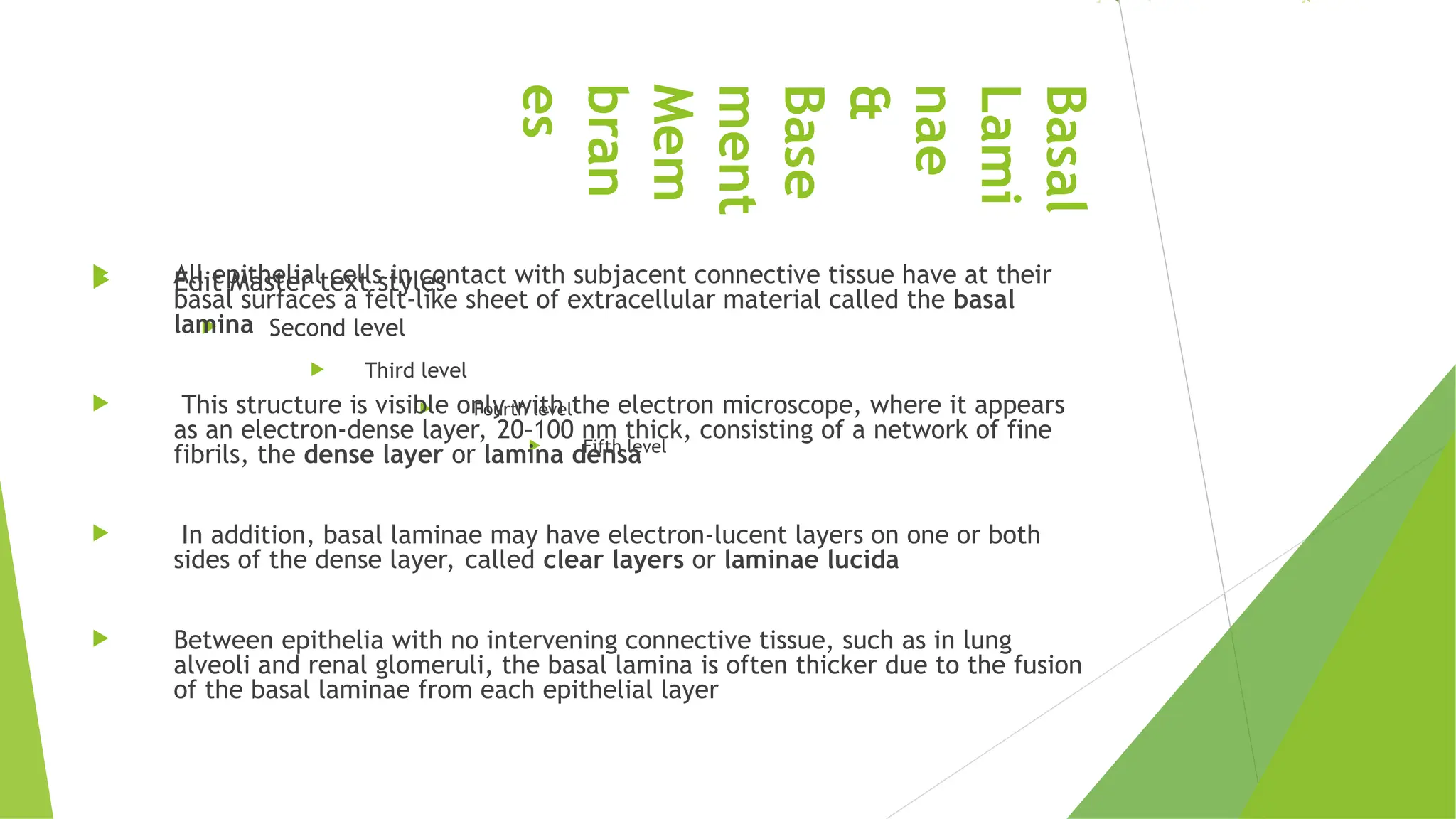 EPITHELIA_BASIC_HISTOLTOLOGY[2] pro.ppt