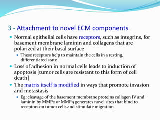 Epithelial and mesenchymal transition in invasion and metastasis | PPTX