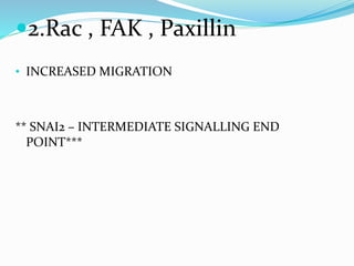 Epithelial and mesenchymal transition in invasion and metastasis | PPTX