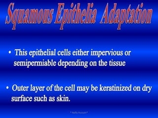 Squamous Epithelia Located places Simple Squamous Epithelia Lining the heart