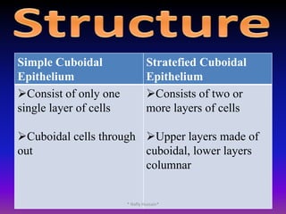  Cervix and virgina* Nafly Hussain*