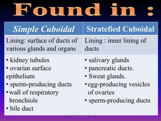 Lining the mouth* Nafly Hussain*