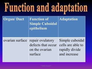 Tightly packed with little or no-inter cellular substance.* Nafly Hussain*
