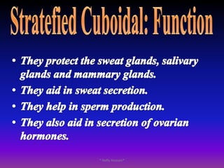 Single layer                 Arpical surfaceCytoplasmNucleasBasal laminaConnective tissue* Nafly Hussain*