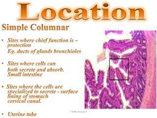 Respiratory bronchioles* Nafly Hussain*