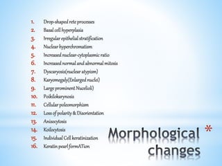 *
1. Drop-shapedreteprocesses
2. Basalcellhyperplasia
3. Irregularepithelialstratification
4. Nuclearhyperchromatism
5. Increasednuclear-cytoplasmicratio
6. Increasednormalandabnormalmitosis
7. Dyscaryosis(nuclearatypism)
8. Karyomegaly(Enlargednuclei)
9. LargeprominentNucelioli)
10. Poikilokarynosis
11. Cellularpoleomorphism
12. Lossof polarity& Disorientation
13. Anisocytosis
14. Koilocytosis
15. IndividualCellkeratinization
16. KeratinpearlformATion
 