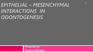EPITHELIAL – MESENCHYMAL
INTERACTIONS IN
ODONTOGENESIS
Presented by-
Dr Purva Pihulkar
1
 