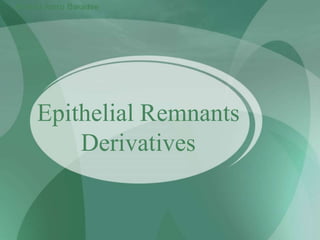 Epithelial Remnants
Derivatives
Ahmad Amro Baradee
 