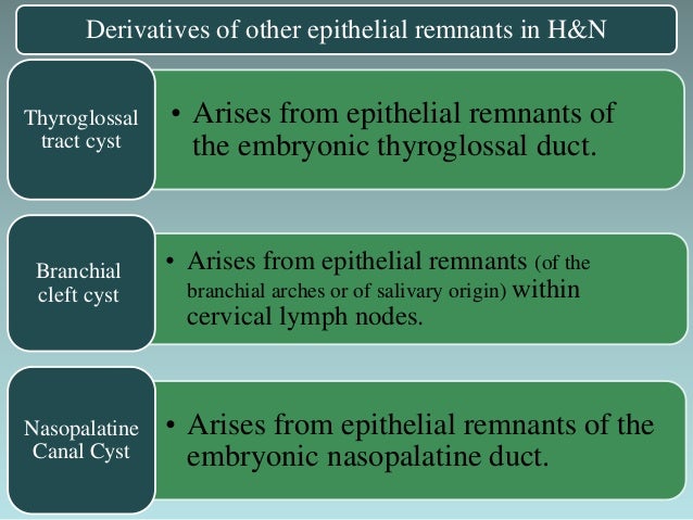 Epithelial Remnants Derivatives