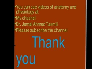 Epithelial tiss-WPS Office.pptx