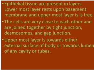 •Epithelial tissue are present in layers.
Lower most layer rests upon basement
membrane and upper most layer is is free.
•The cells are very close to each other and
are joined together by tight junction,
desmosomes, and gap junction.
•Upper most layer is towards either
external surface of body or towards lumen
of any cavity or tubes.
 